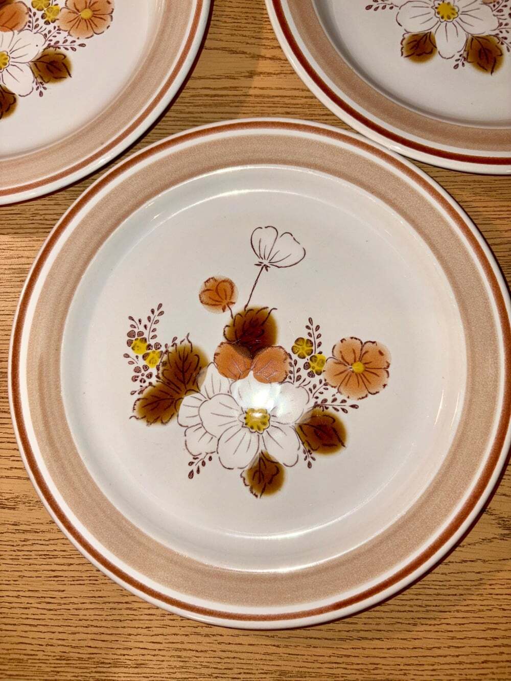 Set of 4 Vintage MCM Stoneware Plates – 7" Autumn Floral with Double Brown Rim,